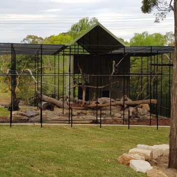 Primate exhibit, Banana cabana, Dural NSW