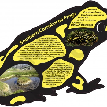 Southern Corroboree frog sign at Ballarat Wildlife Park, Victoria