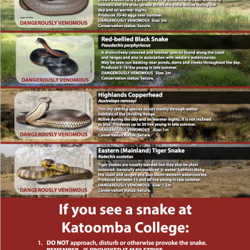 Snake awareness sign